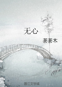 无心 小说茶茶木